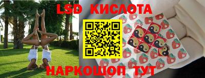 стаф Камышлов