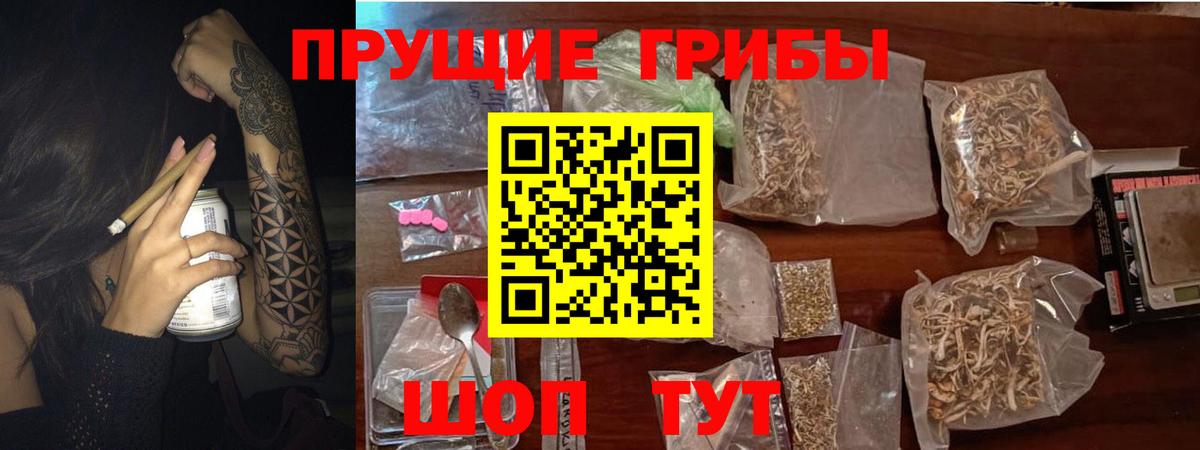 Галлюциногенные грибы MAGIC MUSHROOMS  Псилоцибиновые грибы прущие грибы  Вход с VPN  Ижевск 